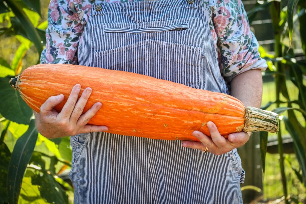 Woman in overalls holding large oblong orange squash called Gete Okosomin