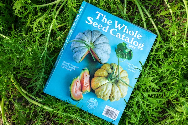 The Life-Changing Magic of a Really Good Seed Catalog